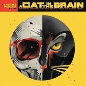 A cat in the brain