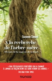 A la recherche de l arbre-mère