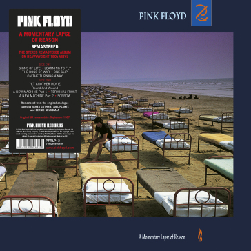 A momentary lapse of reason - Pink Floyd