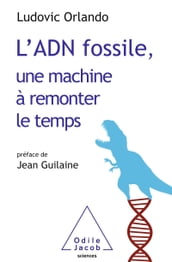 L  ADN fossile, une machine à remonter le temps