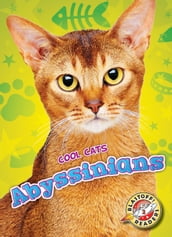 Abyssinians