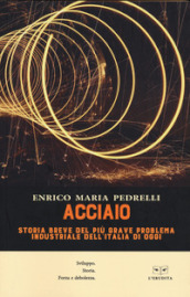 Acciaio. Storia breve del più grave problema industriale dell Italia di oggi