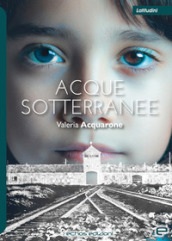 Acque sotterranee