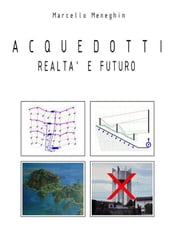 Acquedotti realtà e futuro