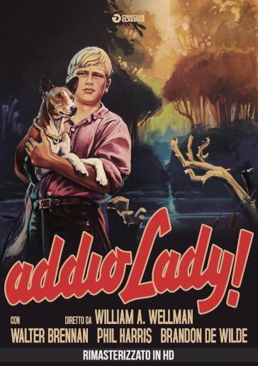 Addio Lady! (Rimasterizzato In Hd) - William Wellman