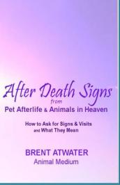 After Death Signs from Pet Afterlife & Animals in Heaven