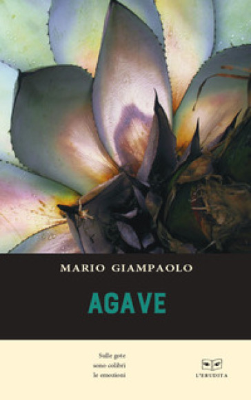 Agave - Mario Giampaolo