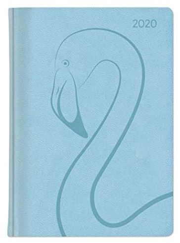 Agenda settimanale 2020 - Ladytimer Deluxe Pastel Blue