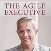 Agile Executive, The