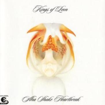 Aha shake heartbreak (transparent vinyl) - Kings of Leon