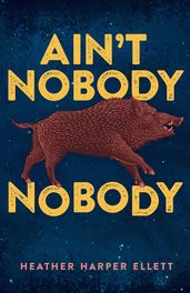 Ain t Nobody Nobody