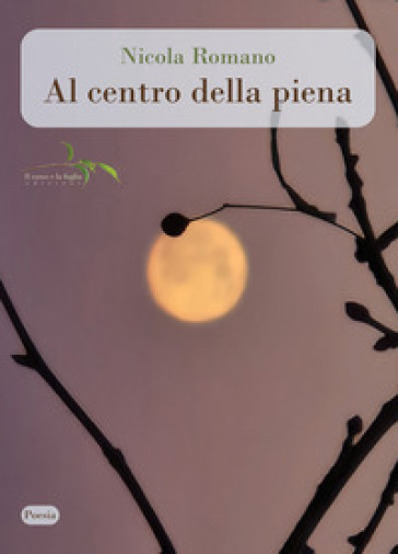 Al centro della piena - Nicola Romano