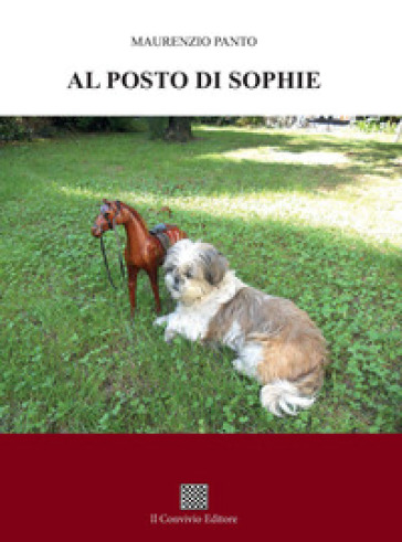 Al posto di Sophie - Maurenzio Panto