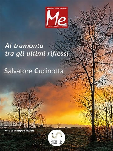 Al-tramonto tra gli ultimi riflessi - Salvatore Cucinotta