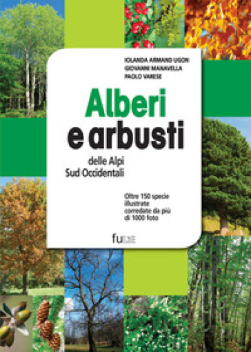 Alberi e arbusti delle Alpi Occidentali. Ediz. illustrata
