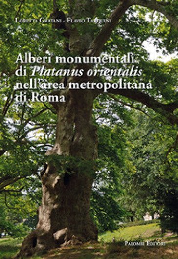 Alberi monumentali di Platanus orientalis nell'area metropolitana di Roma