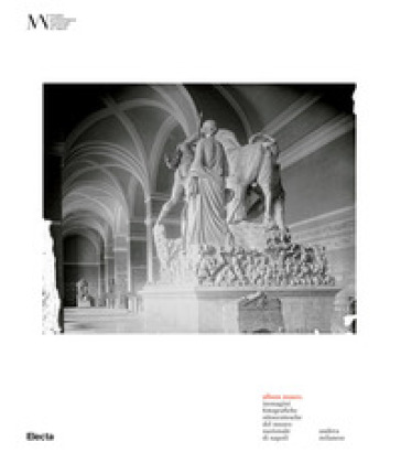 Album Museo. Immagini fotografiche ottocentesche del Museo Nazionale di Napoli. Ediz. illu...
