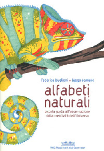 Alfabeti naturali. Piccola guida all'osservazione della creatività dell'universo. Ediz. a colori - Federica Buglioni