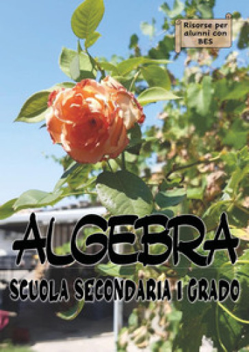 Algebra. Scuola secondaria di I grado. Sostegno - Claudia Colzi