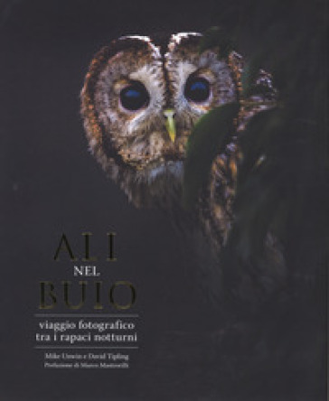 Ali nel buio. Viaggio fotografico tra i rapaci notturni. Ediz. a colori - Mike Unwin - David Tipling