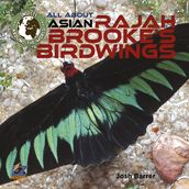 All About Asian Rajah Brooke s Birdwings