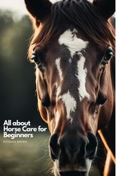 All about Horse Care for Beginners
