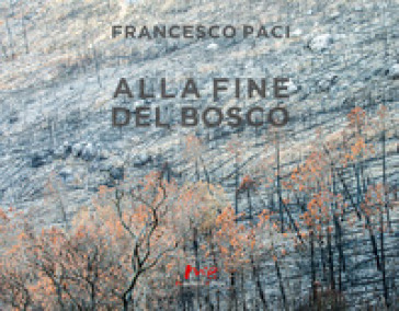 Alla fine del bosco - Francesco Paci