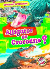 Alligator or Crocodile?