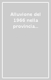 Alluvione del 1966 nella provincia di Firenze
