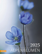Alpenblumen. Kalender 2025