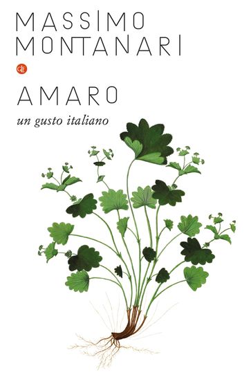 Amaro - Massimo Montanari