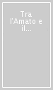 Tra l Amato e il Savuto. 2.Studi sul Lametino antico e tardo-antico