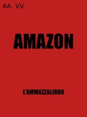 Amazon l