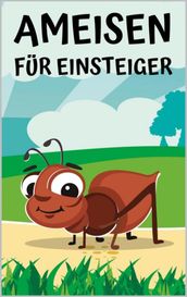 Ameisen für Einsteiger