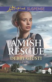 Amish Rescue (Mills & Boon Love Inspired Suspense) (Amish Protectors)