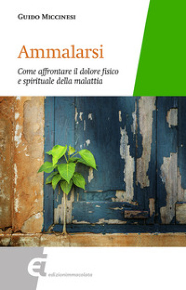 Ammalarsi. Come affrontare il dolore fisico e spirituale della malattia - Guido Miccinesi