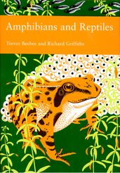 Amphibians and Reptiles (Collins New Naturalist Library, Book 87)