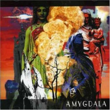 Amygdala - AMYGDALA