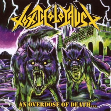 An overdose of death - Toxic Holocaust