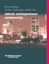 An overview of the challenges within the ethnic entrepreneur community