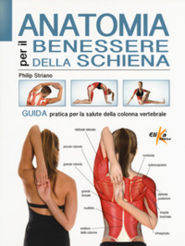 Anatomia per il benessere della schiena. Guida pratica per la salute della colonna vertebrale. Ediz. a colori - Philip Striano