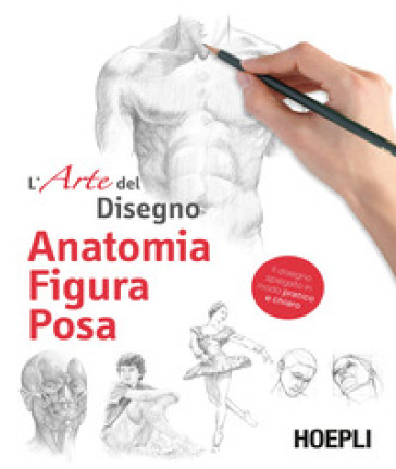 Anatomia figura posa