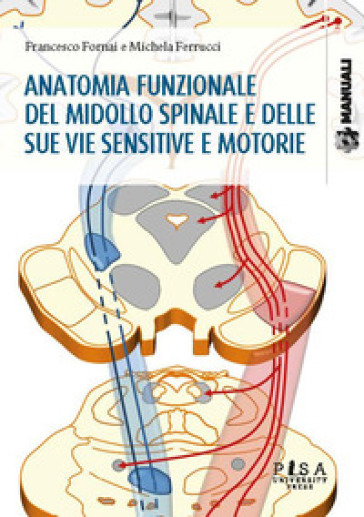 Anatomia funzionale del midollo spinale e delle sue vie sensitive e motorie - Francesco Fornai - Michela Ferrucci