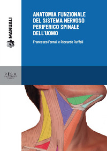 Anatomia funzionale del sistema nervoso periferico spinale dell'uomo - Francesco Fornai - Riccardo Ruffoli