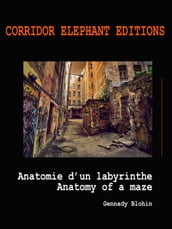 Anatomie d un labyrinthe