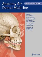 Anatomy for Dental Medicine, Latin Nomenclature