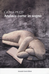 Andavo come in sogno