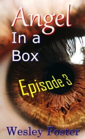 Angel in a Box: Episode 3