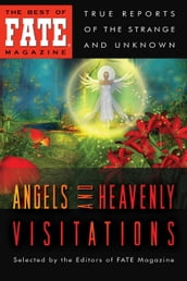 Angels and Heavenly Visitations