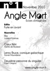 Angle Mort numéro 1